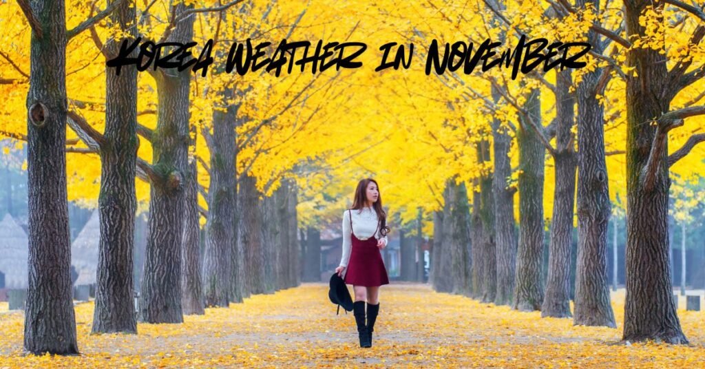 Korea Weather in November